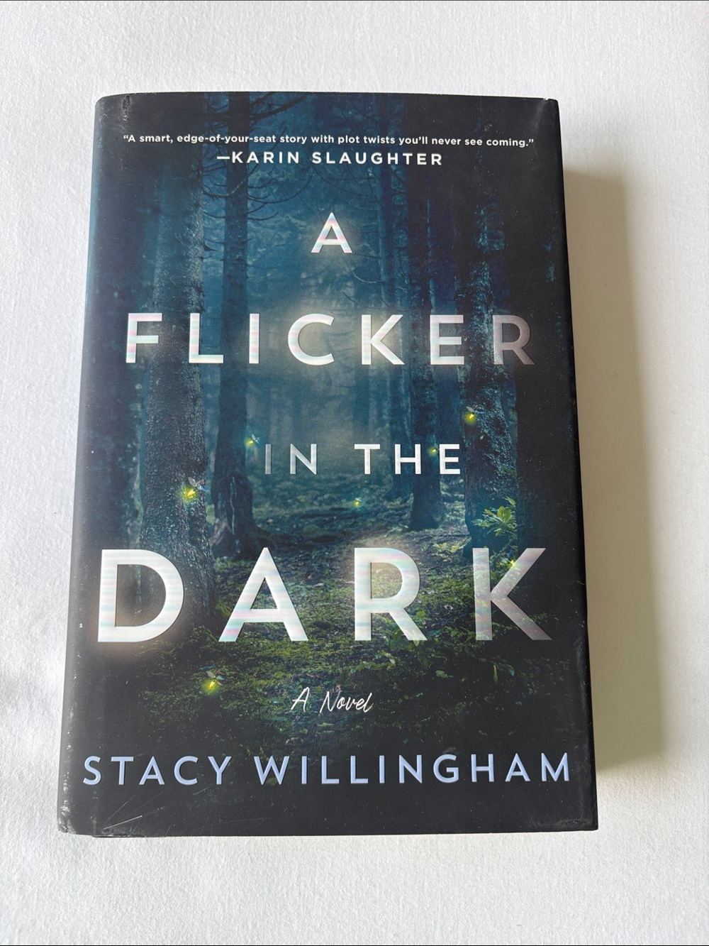 A Flicker in the Dark — Hardcover Book (Blue Forest Back Cover)